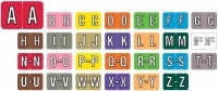 Barkley ABKM Alpha Labels, Laminated, 1" X 1-1/2", Individual Letters - Pack of 225 - SHIPS FREE